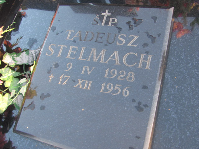 Tadeusz Stelamch 1928 Ząbki Św. Trójcy - Grobonet - Wyszukiwarka osób pochowanych