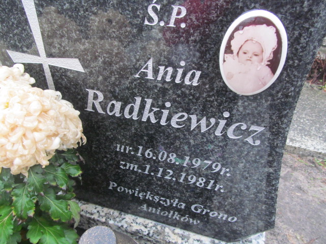 Anna Radkiewicz 1979 Ząbki Św. Trójcy - Grobonet - Wyszukiwarka osób pochowanych