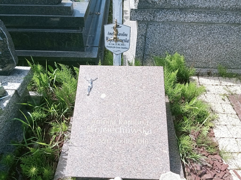 Leon Zalewski 2014 Ząbki Św. Trójcy - Grobonet - Wyszukiwarka osób pochowanych